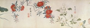 Blomster, Handscroll (blekk og farge på papir) av Qing Dynasty Chinese School