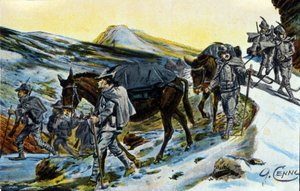Første verdenskrig: gruppe italienske alpejegere i anerkjennelse med muldyrene sine i 1915. Illustrasjon av Quinto Cenni (1845-1917) av Quinto Cenni
