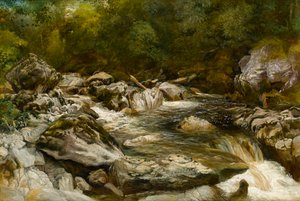 Foss ved elven Conwy, Nord-Wales