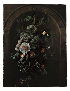  av Rachel Ruysch