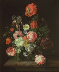 Blomst i en glassvase av Rachel Ruysch