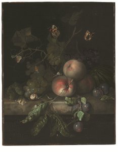  av Rachel Ruysch