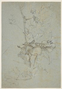 Plantestudie av Rachel Ruysch