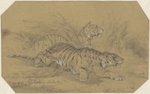 To tigre som går gjennom gresset av Raden Sarief Bastaman Saleh