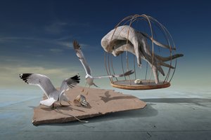 Måker rømmer fra surrealistisk bur av Radoslav Penchev