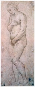 Studie av Venus, c1500-1520 av Raffaello Sanzio Raphael