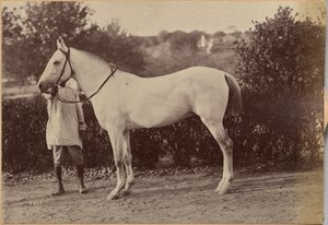  av Raja Deen Dayal