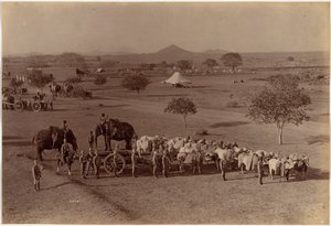  av Raja Deen Dayal
