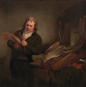 En ornitolog, muligens John Latham av Ramsay Richard Reinagle