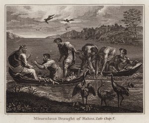 Raphael tegneserie: Miraculous Draft of Fishes, Luke, Kap V (gravering) av after Raphael