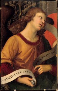 En engel. Fragment av Baroncis altertavle. Maleri av Raffaello Sanzio dit Raphael (1483-1520) av Raphael