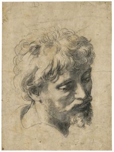 ""Portrett av en ung apostel"" (sjef for en ung apostel) Kull på papir av Raphael (Raffaello Sanzio) (1483-1520) Privat samling