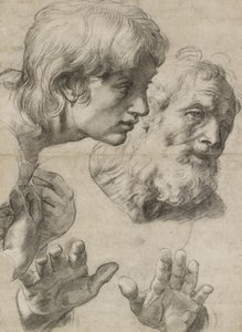 Studier av hodene til to apostler og deres hender (svart kritt berørt med hvitt på gråaktig papir) av Raphael