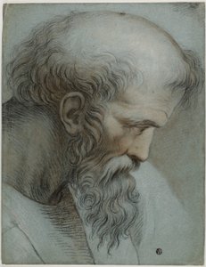 Leder av Pythagoras av Raphael