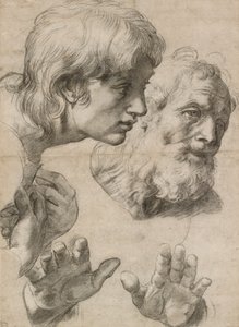 Studier av hodene til to apostler og deres hender, 1500-tallet av Raphael