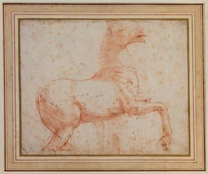 Studie av en av Quirinal marmorhestene, ca. 1515-17 av Raphael