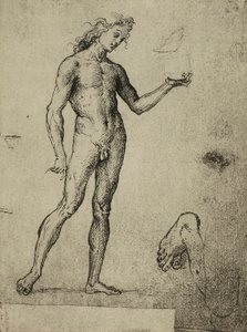 Mannlig nakenstudie; tegning av Raphael. Gallerie dellAccademia, Venezia
