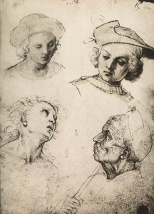 Studie av fire mannlige ansikter; tegning av Raphael. Gallerie dellAccademia, Venezia av Raffaello Sanzio Raphael