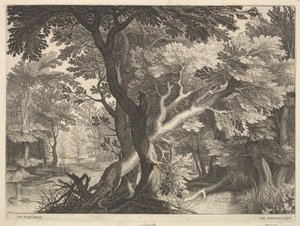 Skogkledd landskap. av Raphael Sadeler