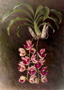 av Raymond Booth