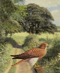  av Raymond Booth