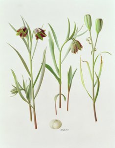  av Raymond Booth