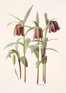  av Raymond Booth