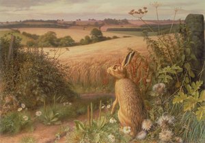  av Raymond Booth