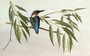  av Raymond Booth