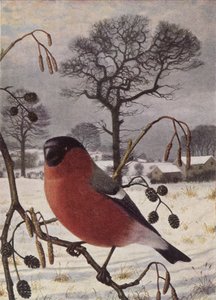  av Raymond Booth
