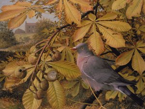  av Raymond Booth