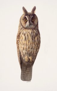  av Raymond Booth
