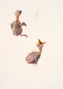  av Raymond Booth