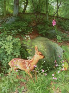  av Raymond Booth