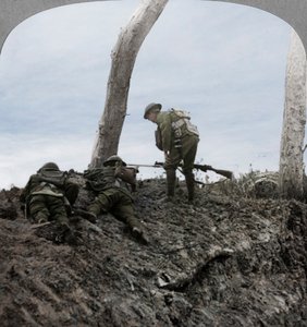 Slaget ved Polygon Wood, nær Ypres, Flandern, Belgia, første verdenskrig, september 1917 av Realistic Travels Publishers