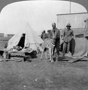 Sørafrikanske skyttere med kjæledyrsebraen deres, Øst-Afrika, første verdenskrig, 1914-1918. av Realistic Travels Publishers