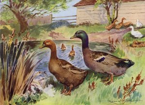 Illustrasjon for My Farm (farge litho)
