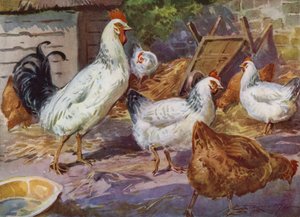 Illustrasjon for My Farm (farge litho)