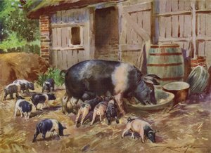 Illustrasjon for My Farm (farge litho) av Reginald Mills