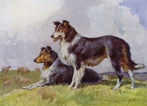 Illustrasjon for My Farm (farge litho)