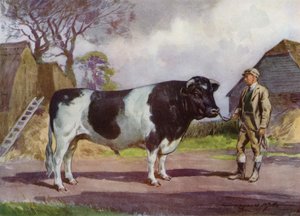 Illustrasjon for My Farm (farge litho)