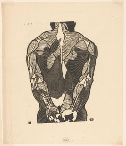 Anatomisk studie av en manns ryggmuskler av Reijer Stolk
