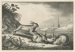 Sanddynelandskap med kaniner Diversa Animalia Quadrupedia (serietittel)
