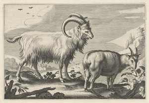 Kupert landskap med to geiter Diversa Animalia Quadrupedia (serietittel)