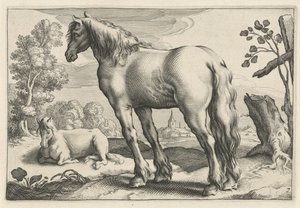 Landskap med to hester Diversa Animalia Quadrupedia (serietittel)
