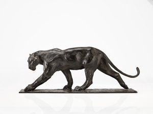 Panther walking, bakre ben hevet, ca. 1904