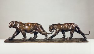 To Jaguarer (bronse)