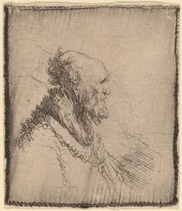 Skallet gammel mann med kort skjegg i profil av Rembrandt van Rijn