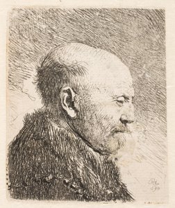 Skallet mann i profil (Rembrandts far?) av Rembrandt van Rijn
