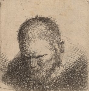Skjegget mann ser ned, muligens 1631. av Rembrandt van Rijn